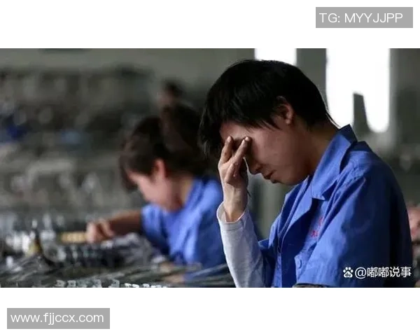 埃切维里求职之路：租赁药厂背面的坚持与汗水